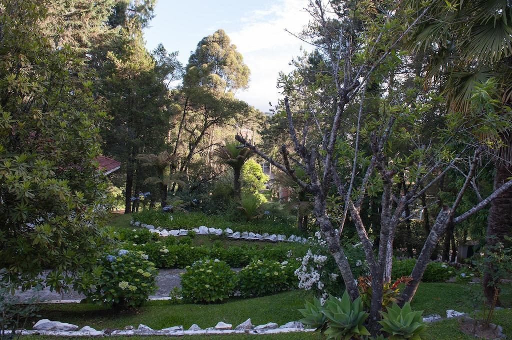 Hotel Vila Regina Campos do Jordão Kültér fotó